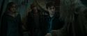 RdM1-Potterish11687.jpg