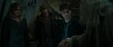RdM1-Potterish11690.jpg