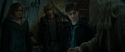 RdM1-Potterish11691.jpg