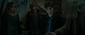 RdM1-Potterish11692.jpg