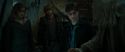 RdM1-Potterish11693.jpg