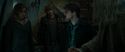 RdM1-Potterish11700.jpg