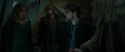 RdM1-Potterish11703.jpg