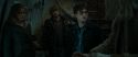 RdM1-Potterish11714.jpg