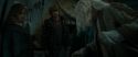 RdM1-Potterish11718.jpg