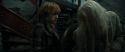 RdM1-Potterish11721.jpg