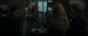 RdM1-Potterish11734.jpg