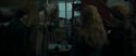 RdM1-Potterish11736.jpg