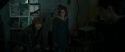 RdM1-Potterish11756.jpg