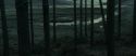 RdM1-Potterish11964.jpg