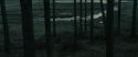 RdM1-Potterish11966.jpg