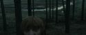 RdM1-Potterish11967.jpg