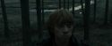 RdM1-Potterish11968.jpg