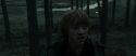 RdM1-Potterish11969.jpg