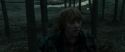 RdM1-Potterish11970.jpg