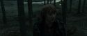 RdM1-Potterish11971.jpg