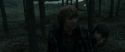 RdM1-Potterish11972.jpg