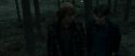 RdM1-Potterish11975.jpg