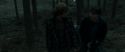 RdM1-Potterish11979.jpg
