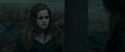 RdM1-Potterish12009.jpg