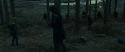 RdM1-Potterish12013.jpg
