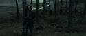 RdM1-Potterish12024.jpg