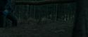 RdM1-Potterish12025.jpg