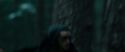 RdM1-Potterish12030.jpg