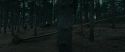 RdM1-Potterish12037.jpg