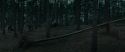 RdM1-Potterish12038.jpg