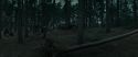 RdM1-Potterish12039.jpg