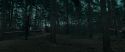 RdM1-Potterish12042.jpg