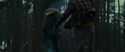 RdM1-Potterish12047.jpg