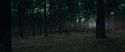 RdM1-Potterish12050.jpg