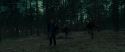 RdM1-Potterish12052.jpg