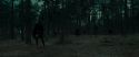 RdM1-Potterish12054.jpg