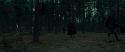 RdM1-Potterish12055.jpg