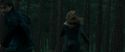 RdM1-Potterish12057.jpg