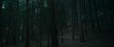 RdM1-Potterish12066.jpg