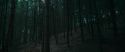 RdM1-Potterish12068.jpg