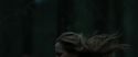 RdM1-Potterish12070.jpg