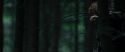 RdM1-Potterish12075.jpg
