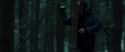 RdM1-Potterish12080.jpg