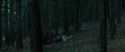 RdM1-Potterish12086.jpg