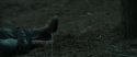 RdM1-Potterish12090.jpg