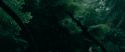 RdM1-Potterish12097.jpg