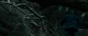 RdM1-Potterish12103.jpg