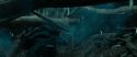 RdM1-Potterish12107.jpg