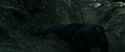 RdM1-Potterish12113.jpg