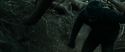 RdM1-Potterish12116.jpg